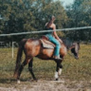 Meet your Posher, Taylor